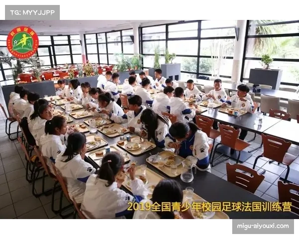 法国各地举办青少年足球训练营